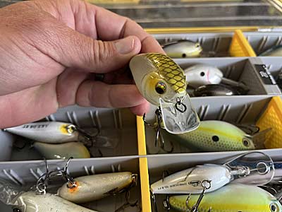 These baits' bill design makes them so effective for fishing around shallow cover.