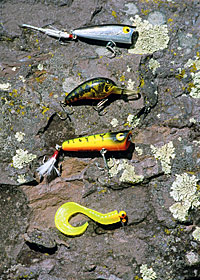 A host of different lures will tempt summer river smallmouths.