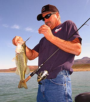 Steve Foutch fishes spoons every single time he’s on the water.