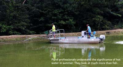 Pond professionals understand the significance of hot water in summer. They look at much more than fish.