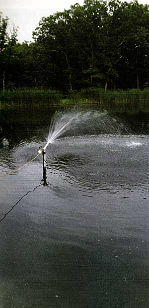 Chuck found his sump pump, added a pipe with a 45-degree angle, and choked it down where it could spray across the pond. Notice the dank color of the water.