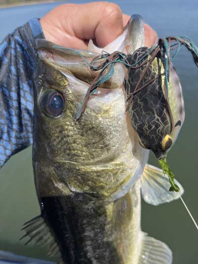 Hooking more bass on frogs takes the right gear and, sometimes, slight modifications to the bait.