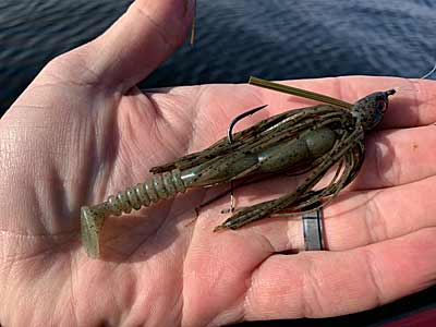 A typical swim jig with a streamlined head and line tie at the front.