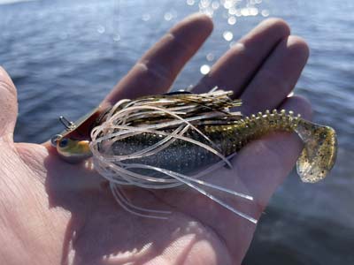 A swimbait as a trailer gives the bait an excellent kicking action and helps keep your ChatterBait higher in the water column, which can be critical in shallow water or fishing above the grass.