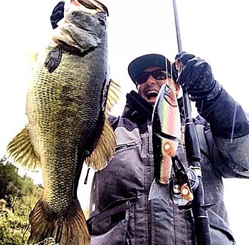 Manny Chee catches a lot of huge bass on big swimbaits, often from shore.