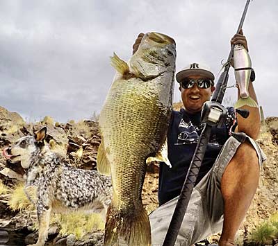 Manny Chee with a big swimbait bass.