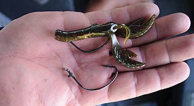 Fluorocarbon line tied in a uni-knot and secured with a drop of glue serves as a keeper barb on the saltwater hooks Terry Scroggins uses for flipping soft plastics with heavy braid line.