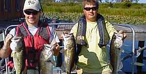 These fish had their stomachs pumped to see what they've eaten. Helping fish as these are the goals of this research.