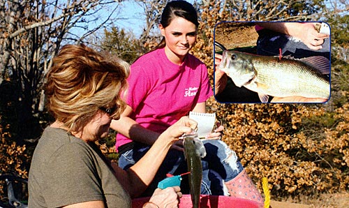 Tagging fish is pretty easy. Insert: A tagged fish