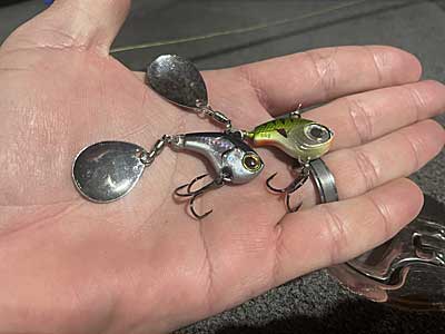 A look at the Lunkerhunt and Jackall version of the tail spinner.