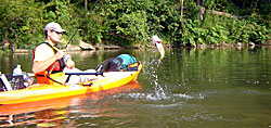 Bass fishing from a kayak