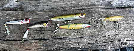 Topwater Baits