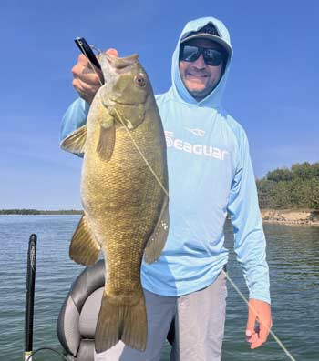 Smallmouth love topwater lures, and they can be a great way to catch them in the fall.