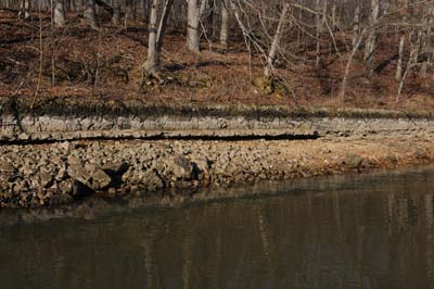 A shoreline where chunky rocks change to gravel is a classic example of a transition bank. 