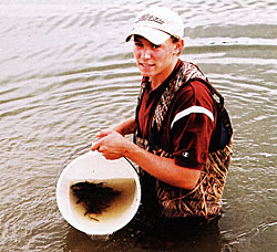 Stocking fish