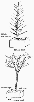 Tree structure