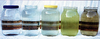 Various colors of water that are representative of the basic trophic conditions