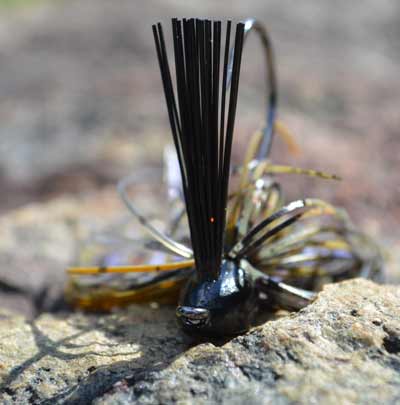 Improve your jig’s hooking power by thinning and fanning your bristle-style weed guard. Avoid shortening the strands, which only stiffens them, making hooksets more difficult. Photo by Pete M. Anderson