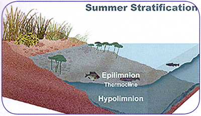 Depicting water layers during summertime. Courtesy Vertex Water Features.