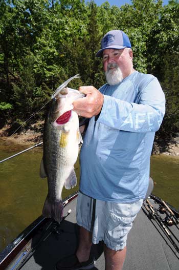 Missouri pro Dion Hibdon relies on a shad-imitating lure such as a Fluke for catching postspawn bass anywhere in the country. 