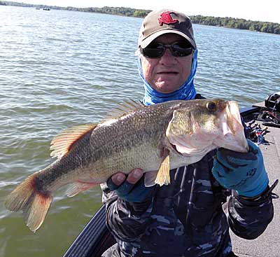 Good bass caught on a vibrating jig.