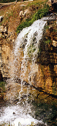 The sound of moving water, the visual appeal of a waterfall, is attractive to everyone.