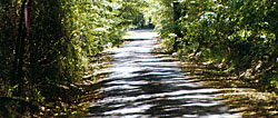 One of the few remaining bike trails I used to run near the old Bedford Boy's Ranch in Bedford, Texas.