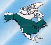 Beaver distribution throughout North America.