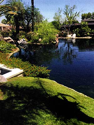 This pond is managed with minimal herbicides, enzymes, and microbes.