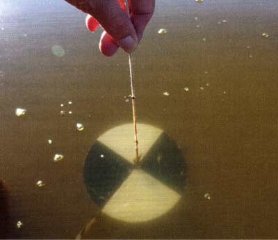 A Secchi disk measures the visibility of your pond water. 