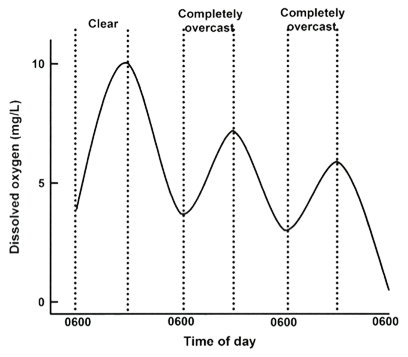 Daily fluctuations in dissolved oxygen concentrations in fish ponds on clear and overcast days.