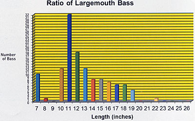 Lengths of largemouth bass.