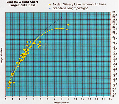 Lengths and weights of largemouth bass.