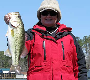 cold bass fishing article