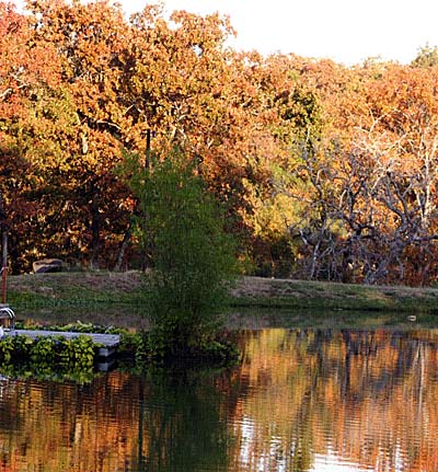 Fish slow down, plant growth stops, and the pond takes some time off.