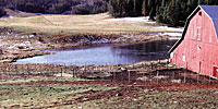 This small mountain pond grows trout to 10 lbs in 5 years thanks to re-established freshwater input, fencing livestock out, winter aeration, and occasional feeding even when the ice forms. Photo by Michael J. Mitchell.