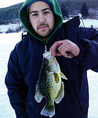 Black Crappie