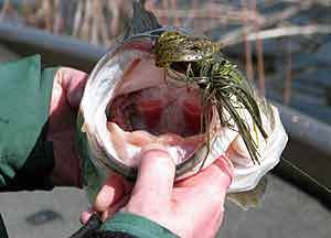 Winter jig fishing