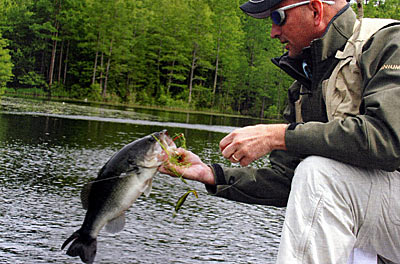 Largemouth bass take advantage of wintertime food supplies and numbers of prey definitely decline during the cold months.