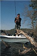 Curt Lytle moves in to land his catch. When fishing trees, he prefers logs that extend from a steep bank into deep water.