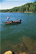 An angler aims for wood cover to get to the root of the lake's bass population.