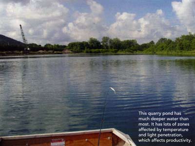 This quarry pond has much deeper water than most. It has many zones affected by temperature and light penetration, affecting productivity.