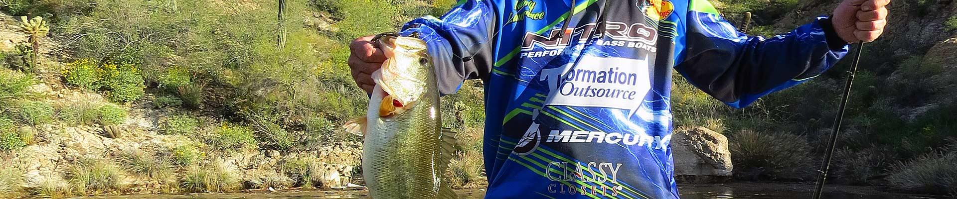 Soft Plastic Bass Fishing