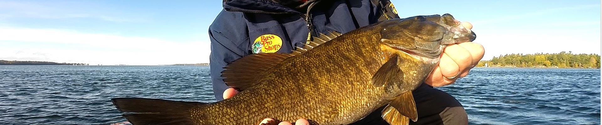 Fall Smallmouth Fishing