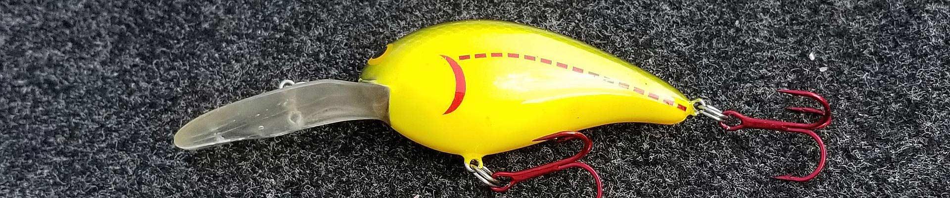 Crankbait bass fishing