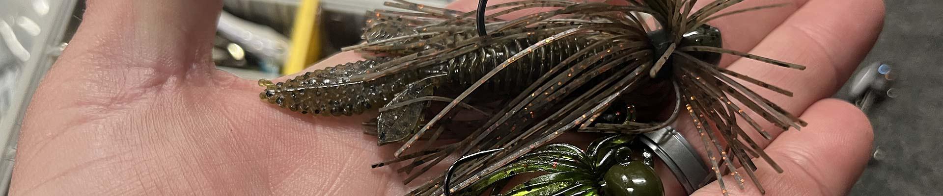 January Bass Baits