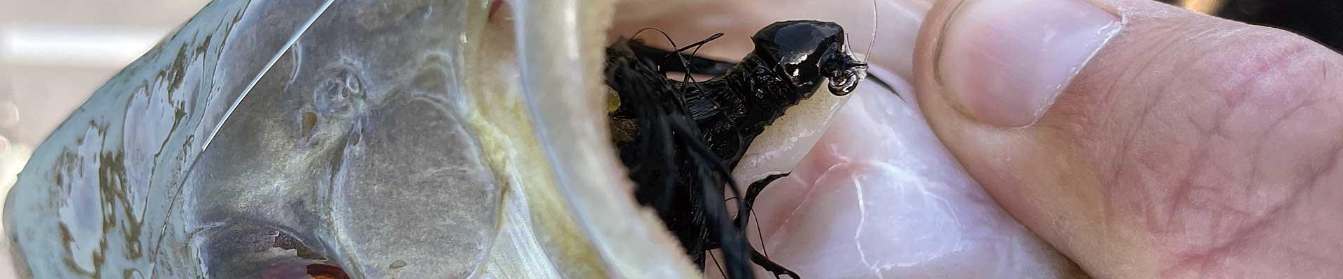 Marabou Hair Jigs For Smallmouth Bass 