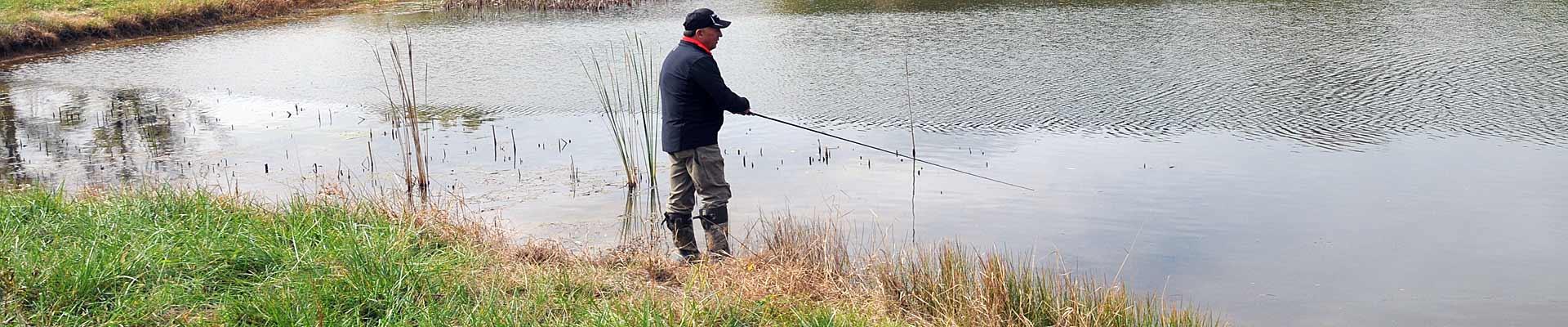 Pond fishing fall