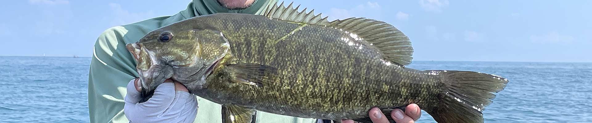 Lake St. Clair Smallmouth