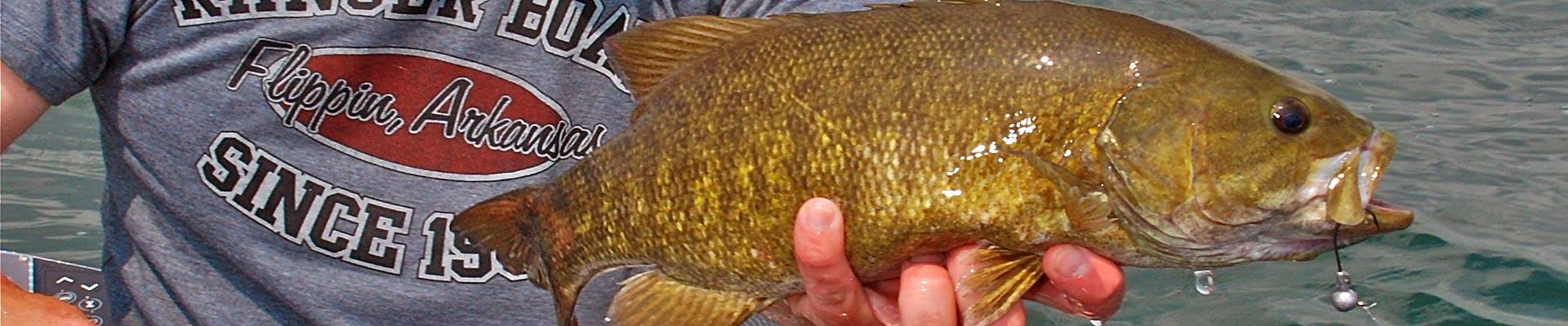 Smallmouth